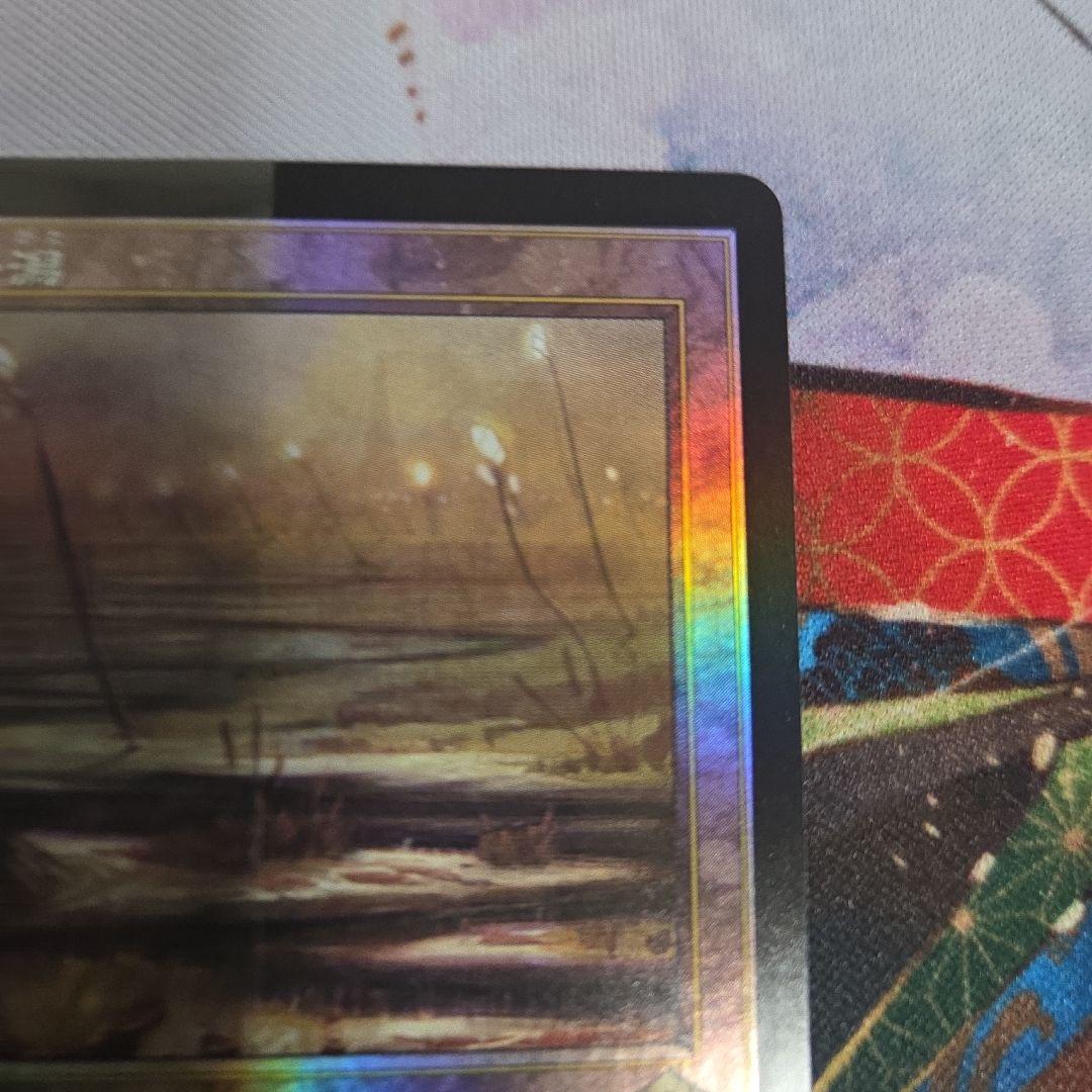MTG 湿地の干潟　旧枠　foil　画像2.3を2枚