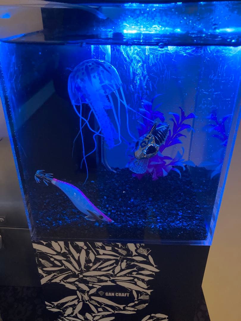 GAN CRAFT CROSS MINI X オーバーフロー水槽　ガンクラフト