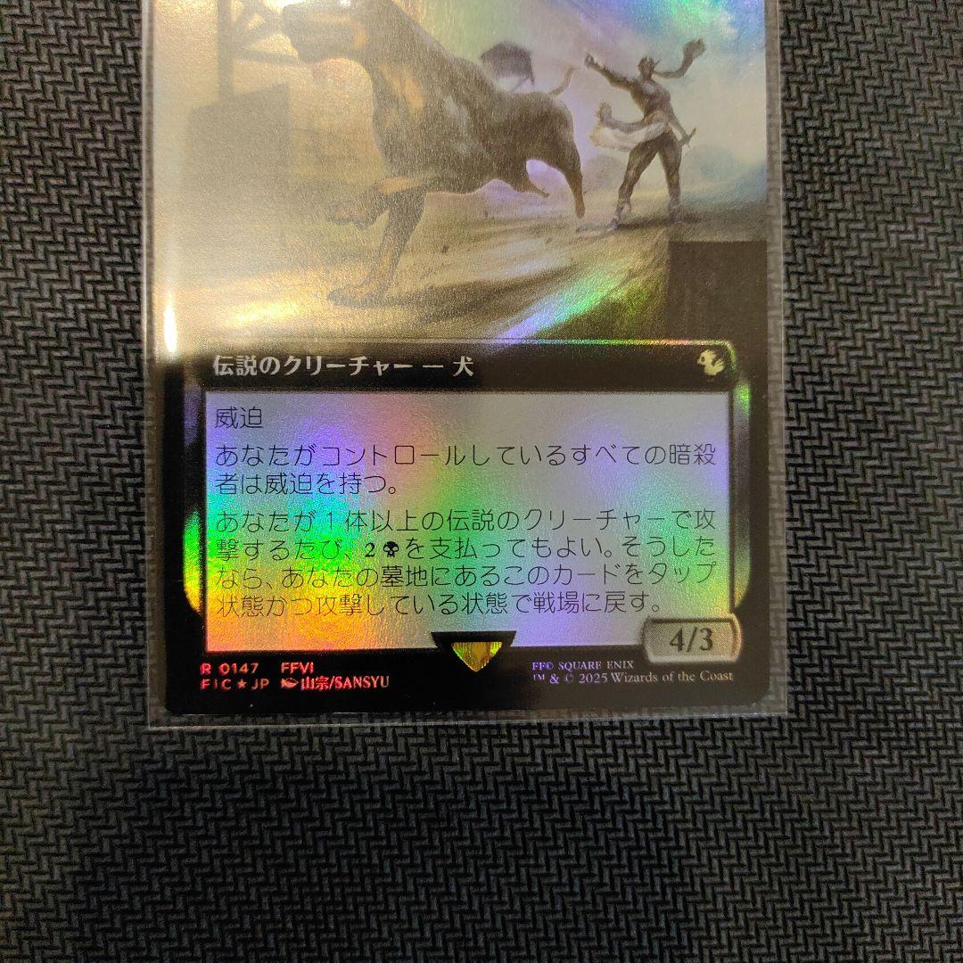 MTG シャドウの愛犬、インターセプター　日本語　拡張Foil　ボーダーレス