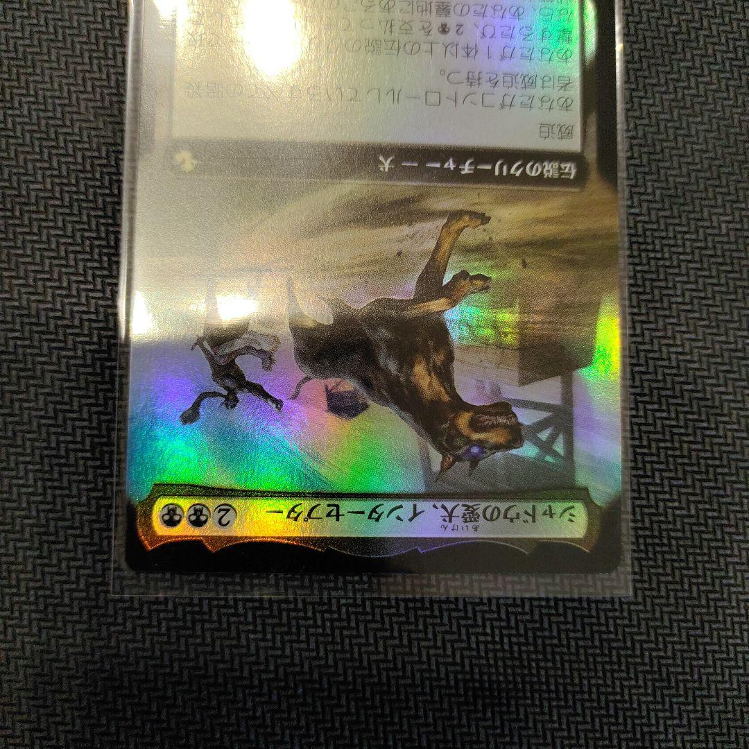 MTG シャドウの愛犬、インターセプター　日本語　拡張Foil　ボーダーレス
