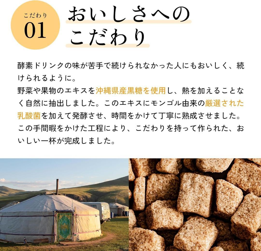 ファスティングドリンク おなか生酵素 720ml×6本