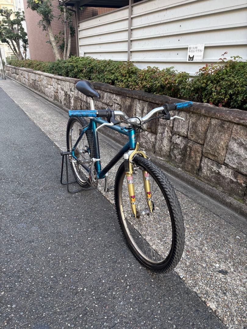 OLD MTB GIANT ジャイアント　CFM CADEX オールドmtb