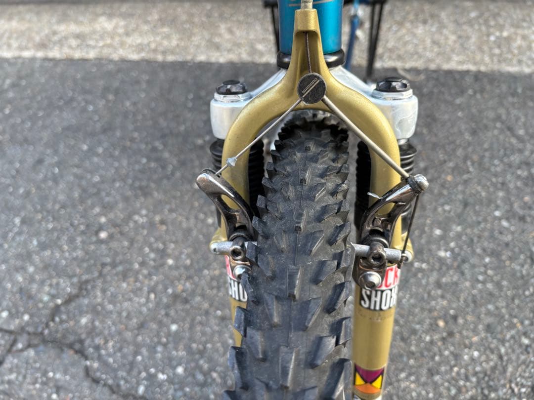 OLD MTB GIANT ジャイアント　CFM CADEX オールドmtb