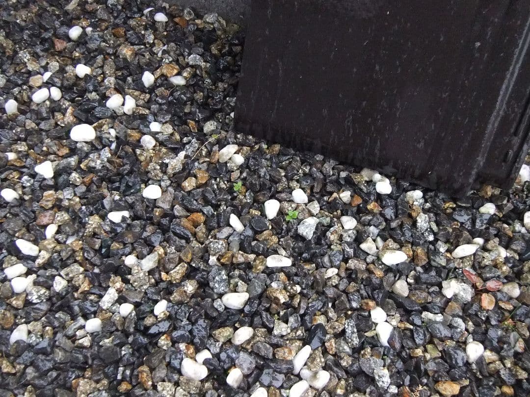 FUJIFILM FinePix REAL 3D W1 動作確認済み