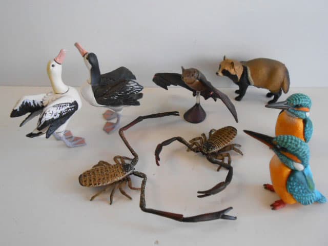 ♯Jvi12Gj カプセルQ 日本の動物3 東京 巨大都市と離島 フル 全13種