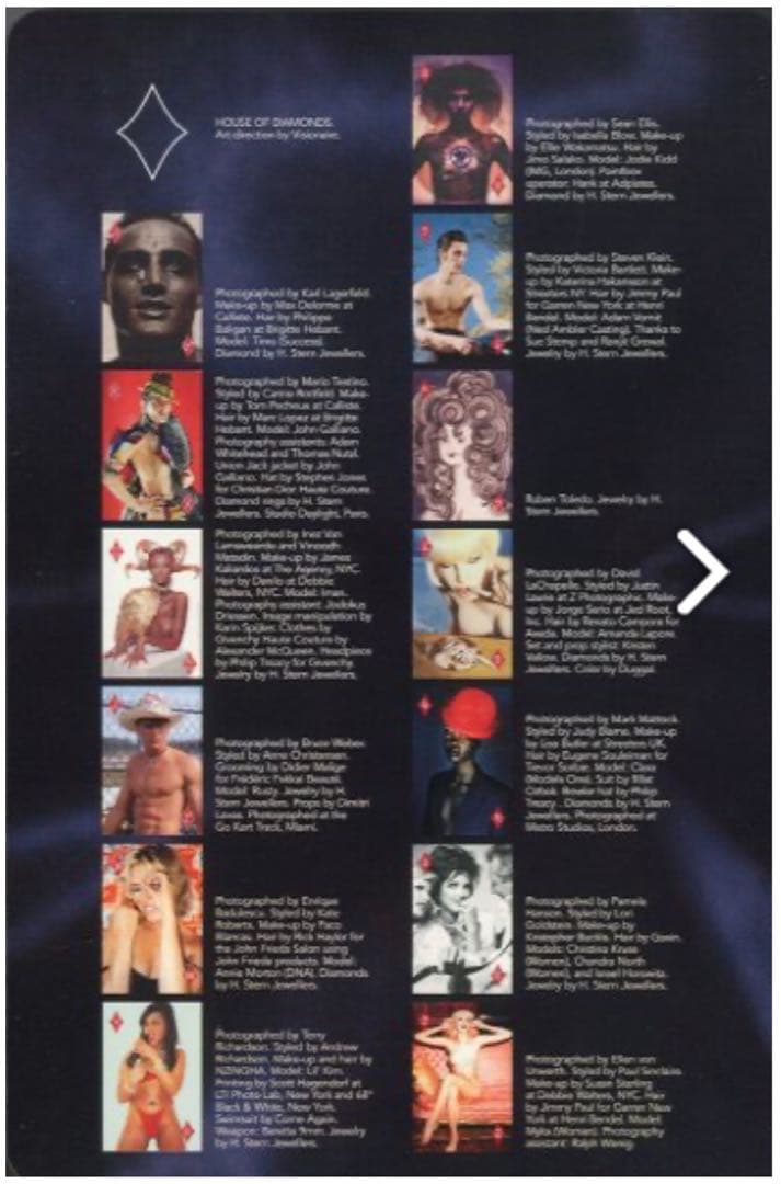 最終価格 限定品コレクターズアイテム ビジョネアVisionaire No.21