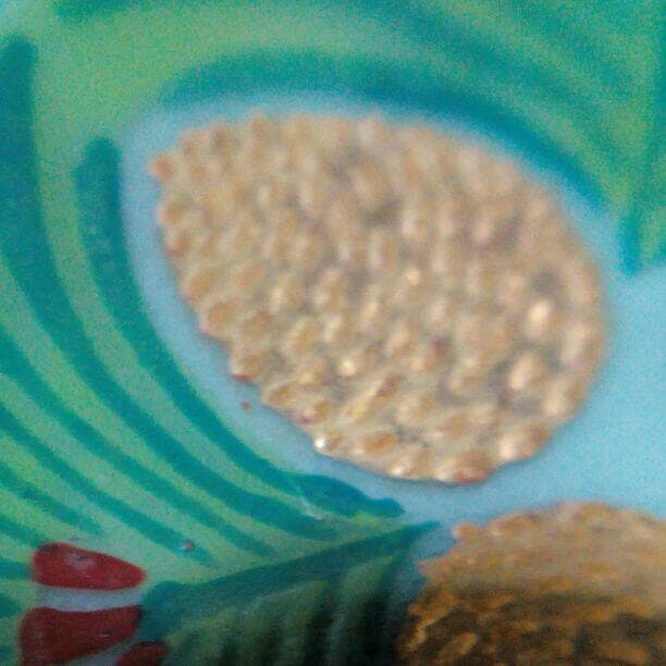 九谷焼　美山　盃　盛金　骨董