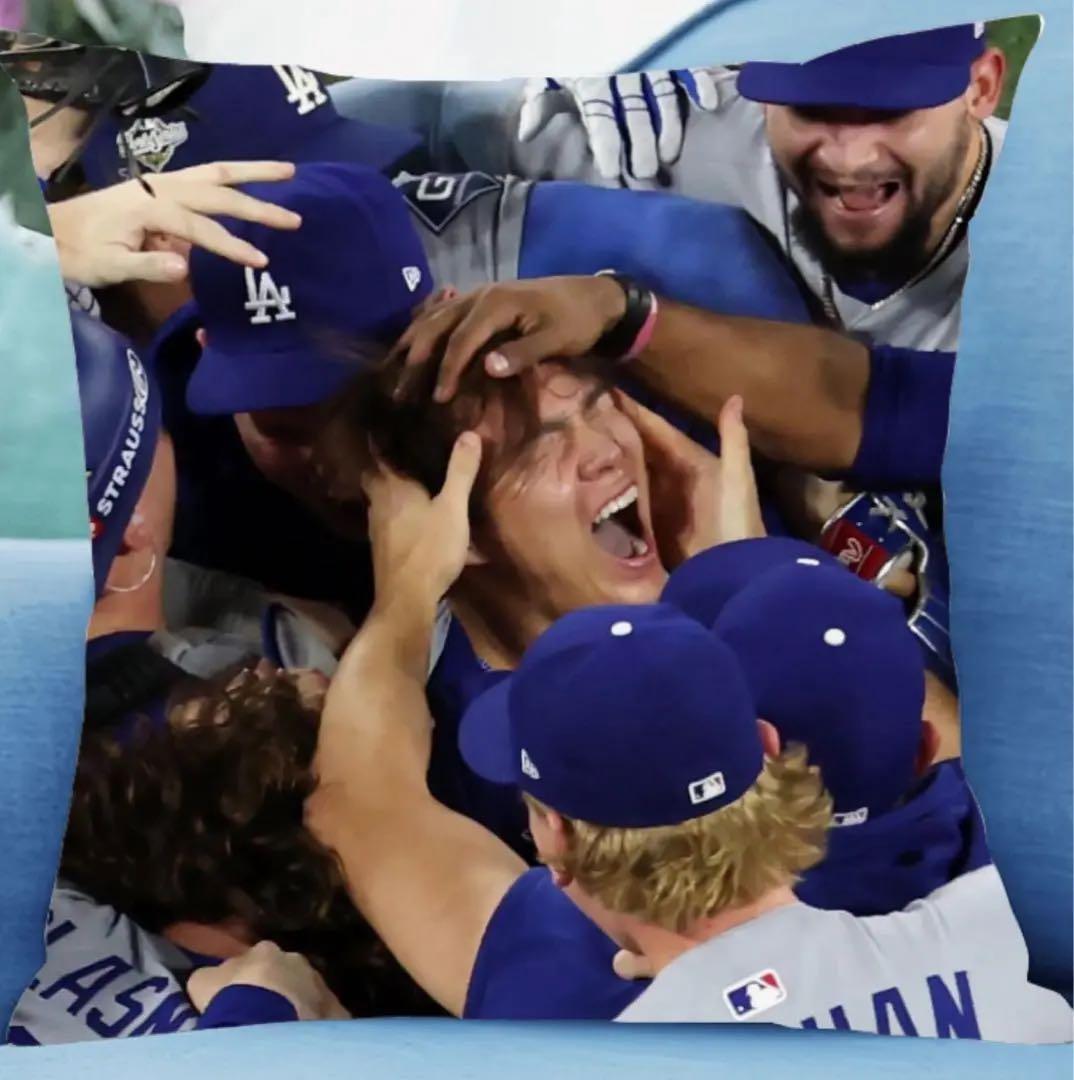 嵐ちゃん専用　オーダークッションカバー　2枚×クッション本体×2個