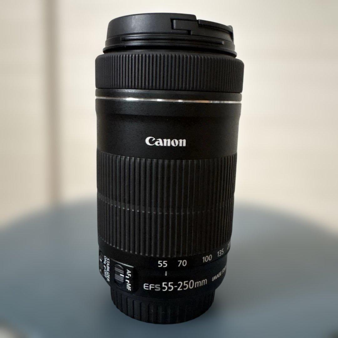 Canon EFS 55-250mm ズームレンズ