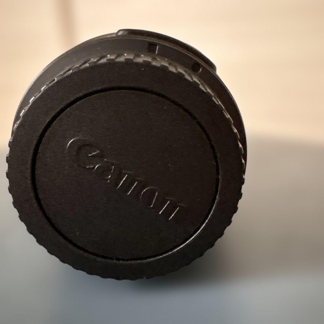 Canon EFS 55-250mm ズームレンズ