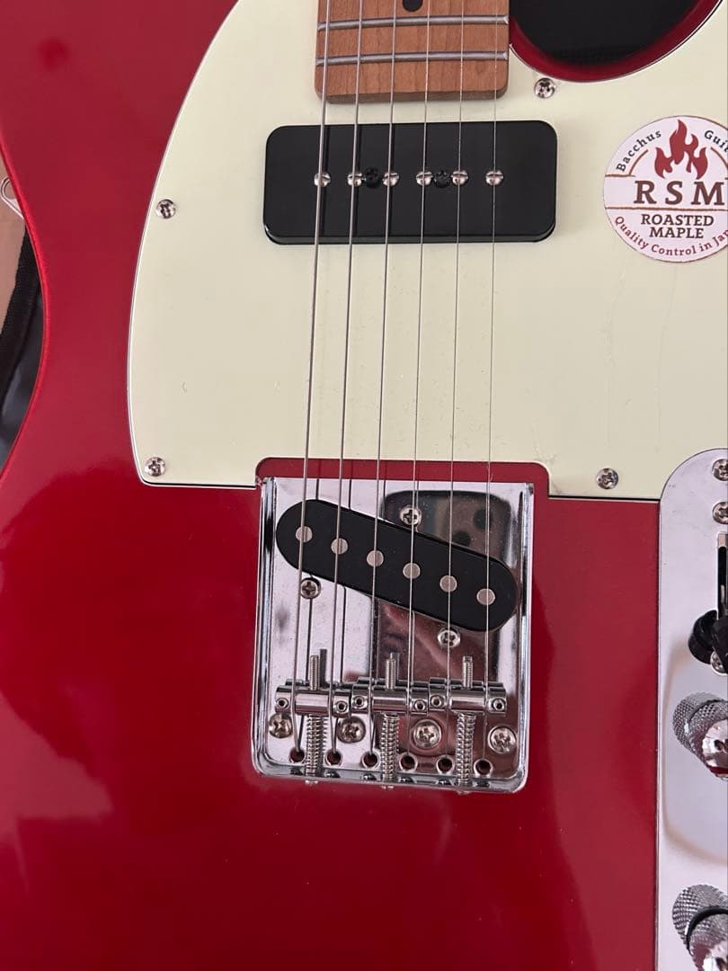 Bacchus テレキャスター BTE-2 エレキギター【最終値下げ】