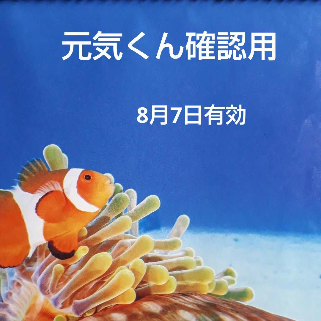 沖縄アダン＊588.604.605.608-612