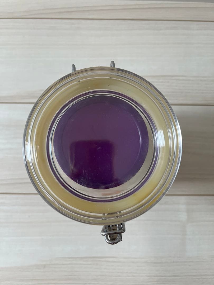 ALIEN Xenomorph エイリアン ゼノモーフ 90s レア