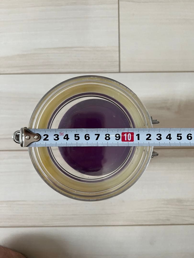 ALIEN Xenomorph エイリアン ゼノモーフ 90s レア