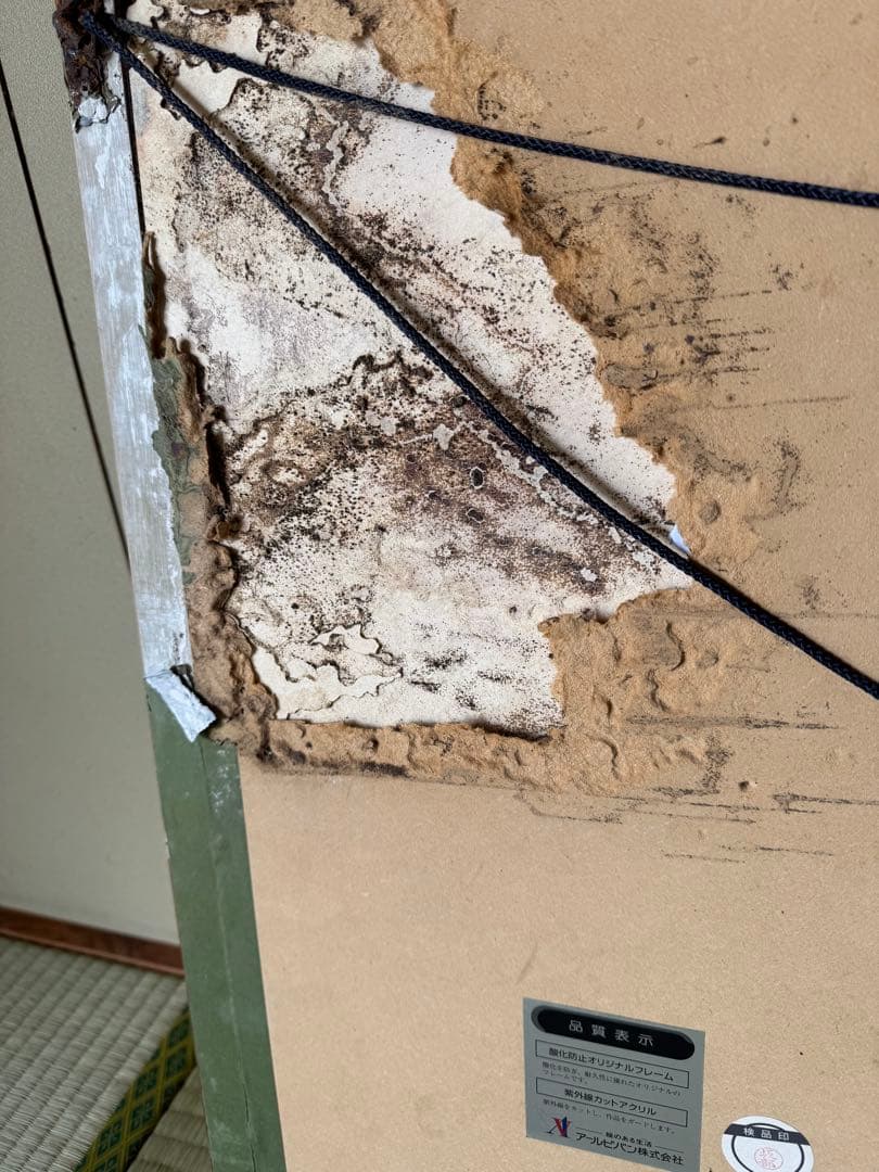 真作保証　天野喜孝　少女　絵画　ティナ　ファイナルファンタジー6