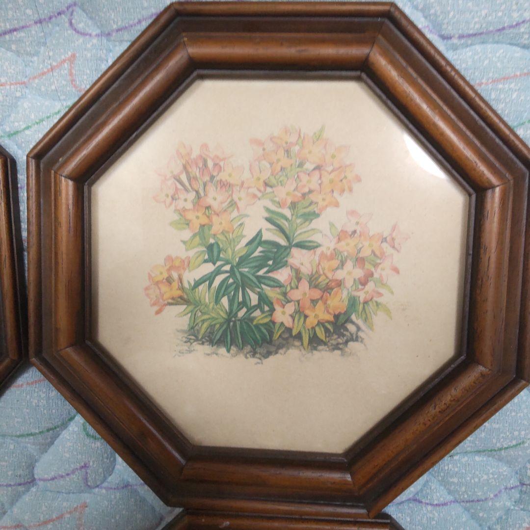 値下げ　ボタニカルアート 　六角フレーム 7点セット！ イタリア製