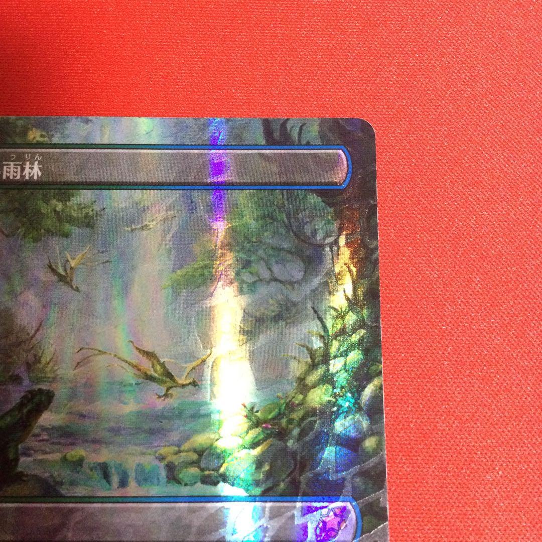 霧深い雨林　Misty Rainforest　ドラゴンスケイル　foil