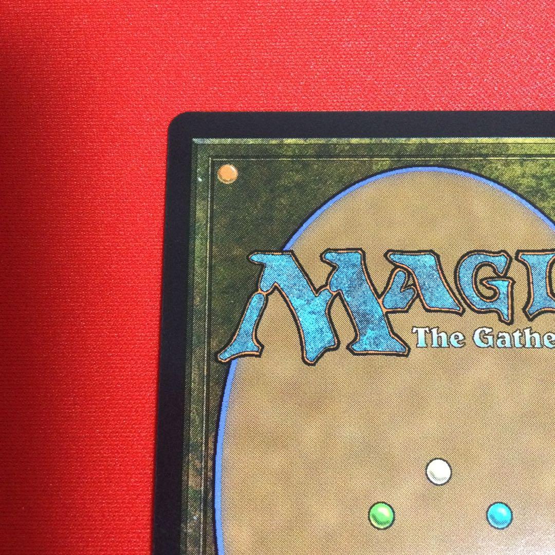 霧深い雨林　Misty Rainforest　ドラゴンスケイル　foil