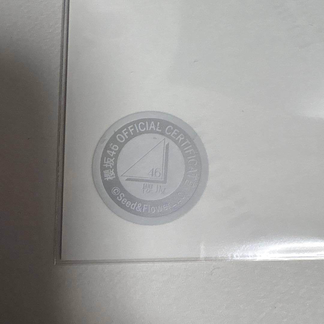 村山美羽 櫻坂46 2025年 サンタ 生写真 直筆サイン