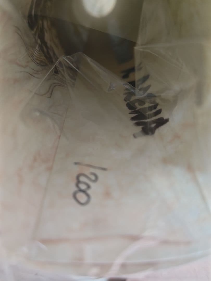 ガンズ・アンド・ローゼズ リトグラフ　GUNS N' ROSES ポスター横浜