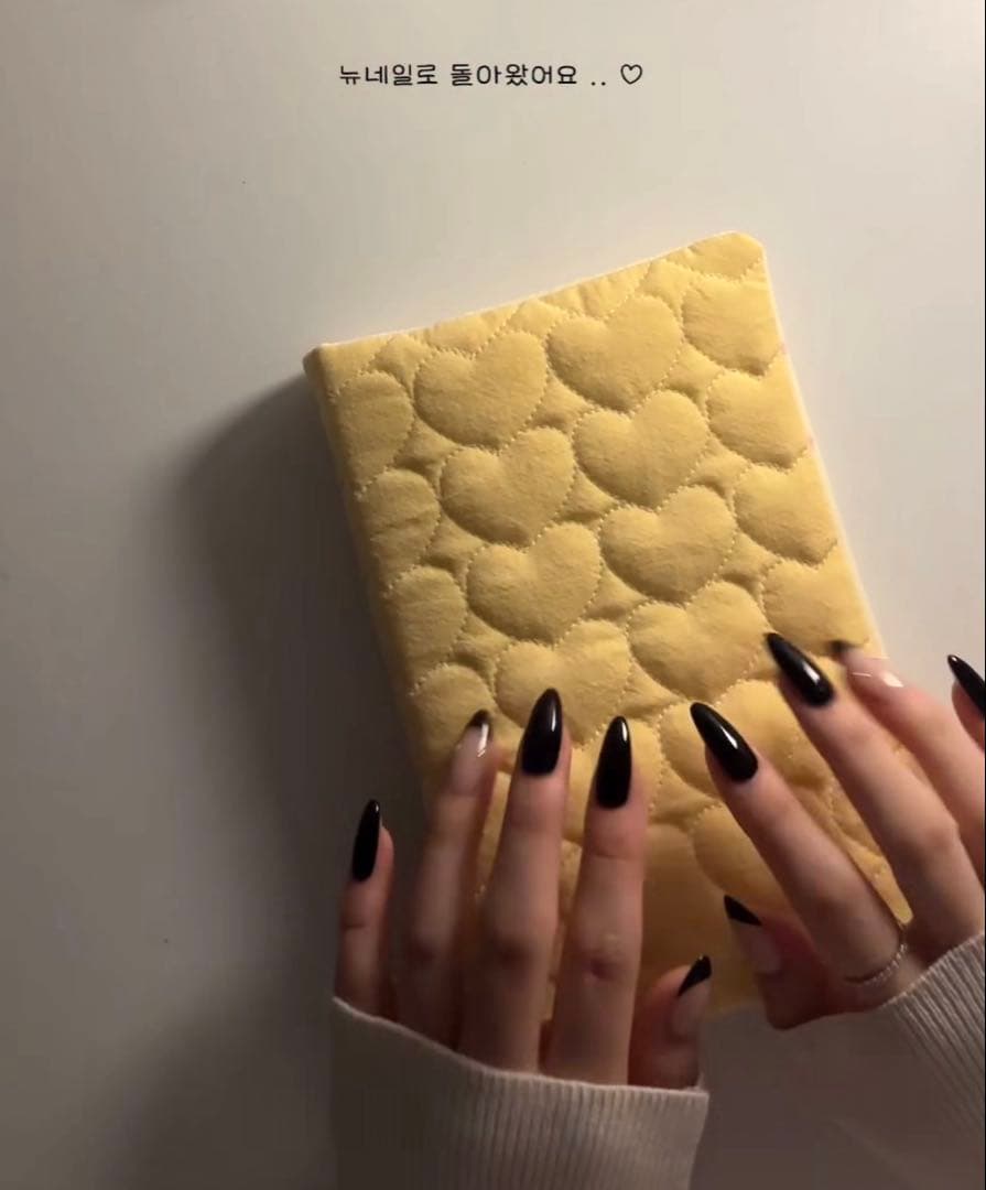 1点のみ 韓国 A6 バインダー 現金 貯金 リフィル