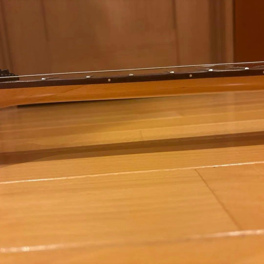 フロイトローズタイプ FERNANDES アクティブ回路 アーム付 新品弦張替済