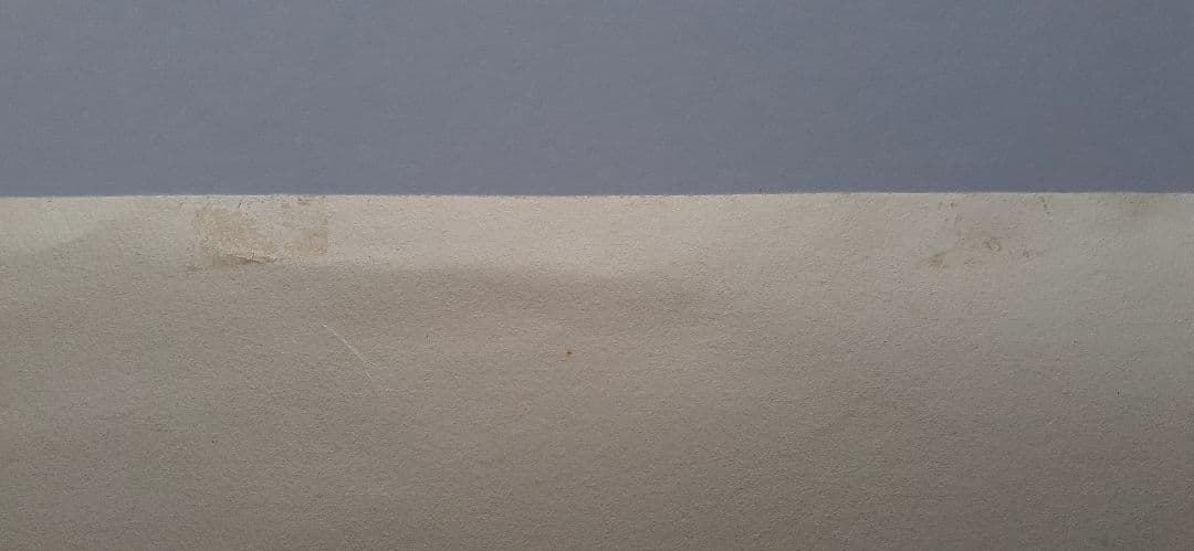 エルンスト・フックス限定100 版画作品サイン入 ウィーン幻想派