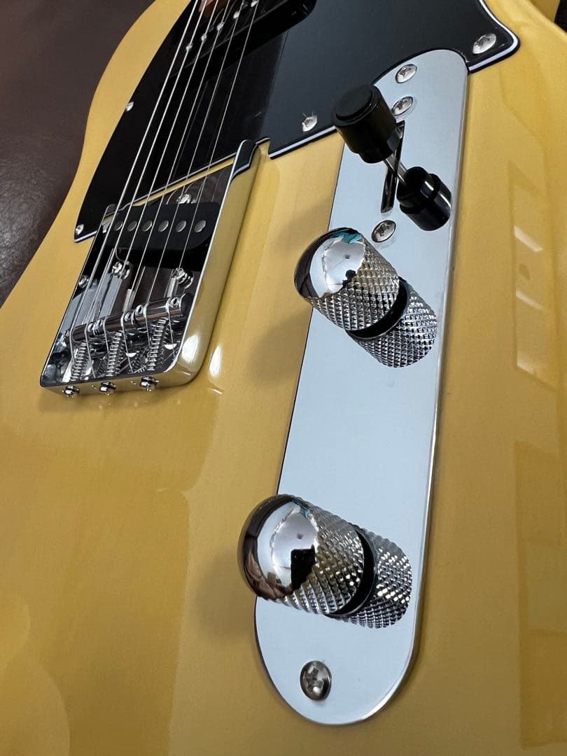 バッカスUniverse Series BTE-2-RSM/M (BBD)