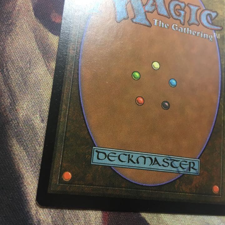 MTG 金粉のドレイク 日本語 ★簡易書留