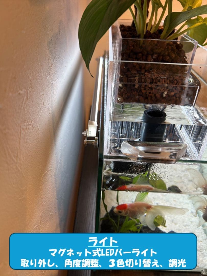 【格安】上部濾過アクアリウム水槽　アクアポニックス（観葉植物）仕様