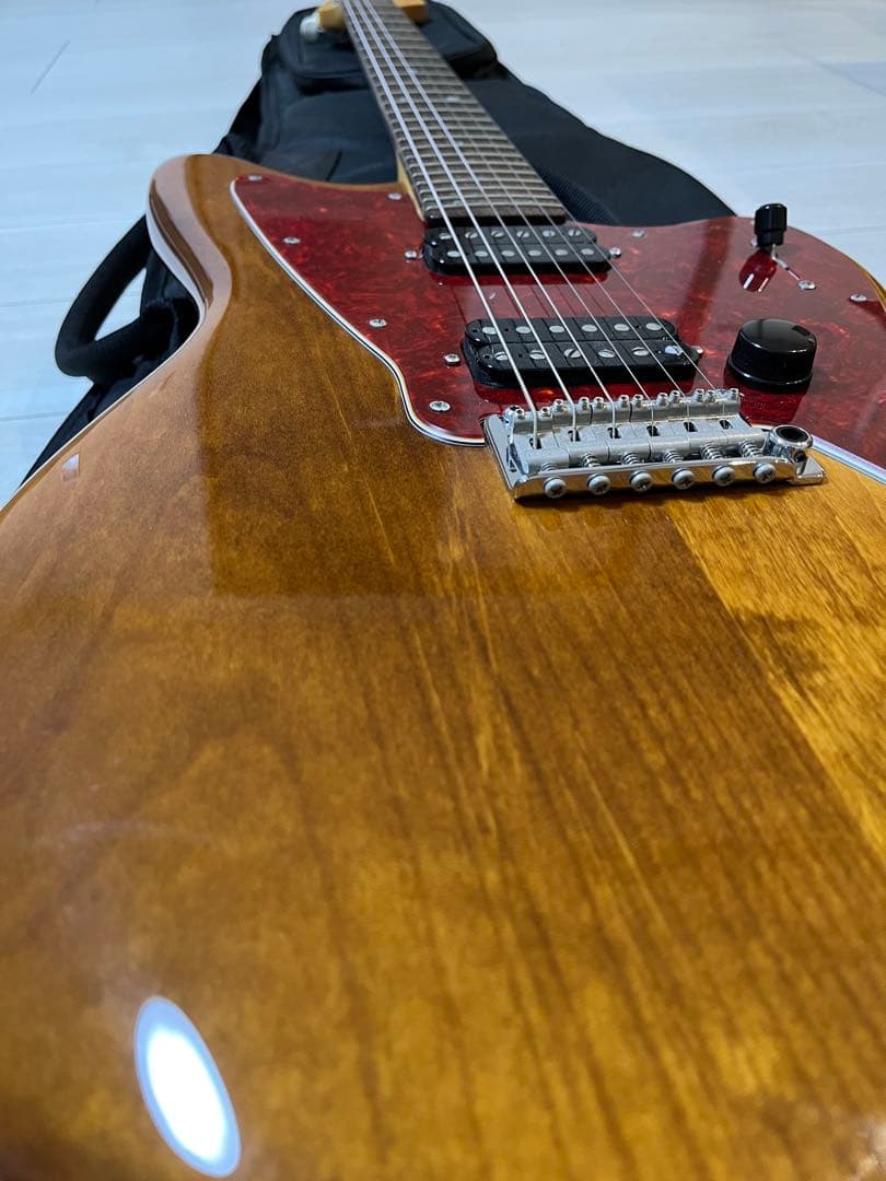 サイケデリズム サイコマスター 2H 24F レア Psychederhythm