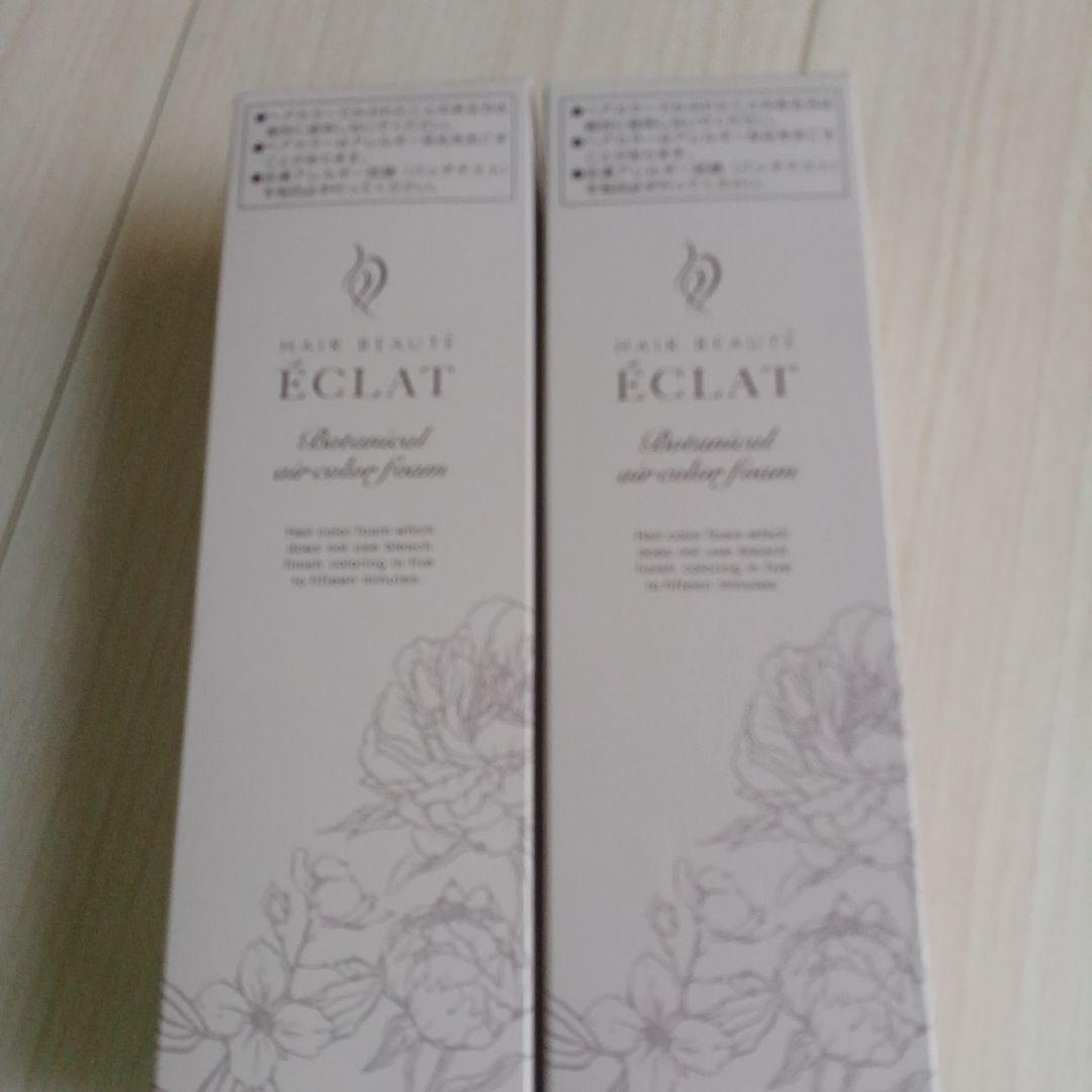 ÉCLAT ボタニカルカラーリングフォーム 15N 100g