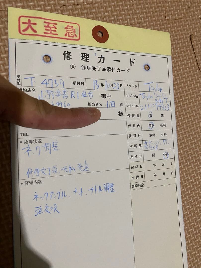 トラベルギター　Taylor ギター ケース、ストラップ付き