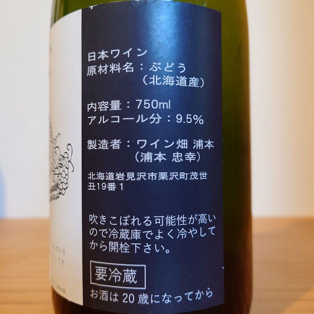 Yoichi Rosé 2024 POPPOPPOP くまコーラ