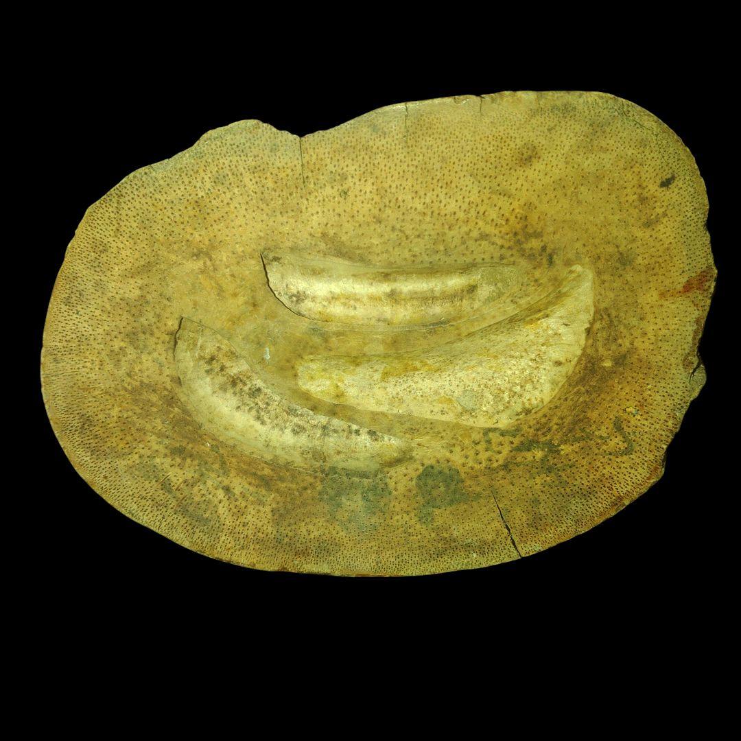 竹根彫刻　高砂　縁起物　花入　置物