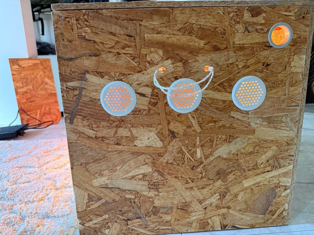 木製飼育ケージ セット ヒーター・照明 • シェルター • 餌皿付き