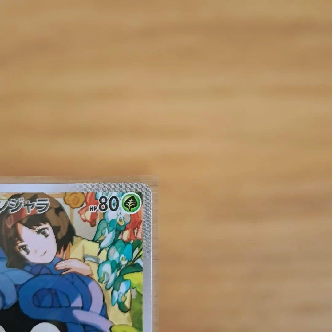 ヒカリ サポート SAR　ヒカリ　ARエリカのモンジャラ　スタートデッキ100