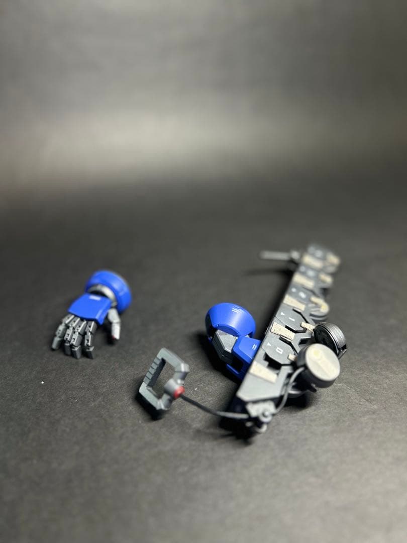 MGズゴック　塗装済完成品