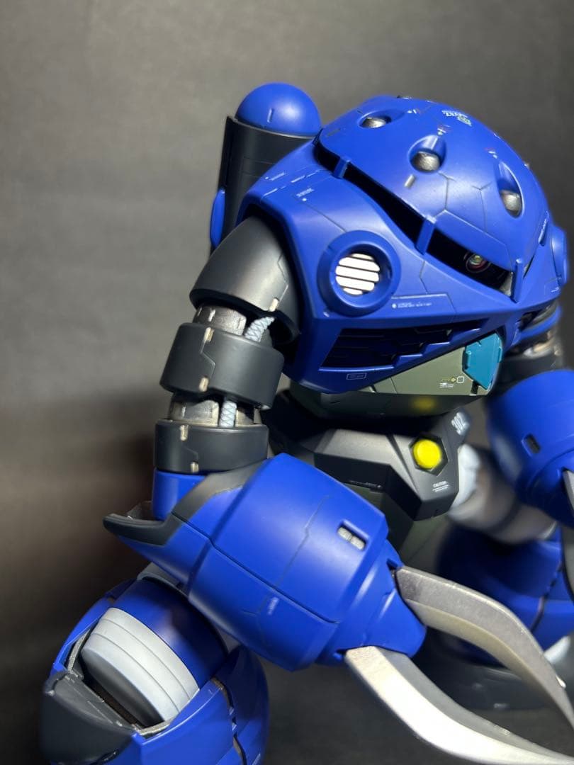 MGズゴック　塗装済完成品