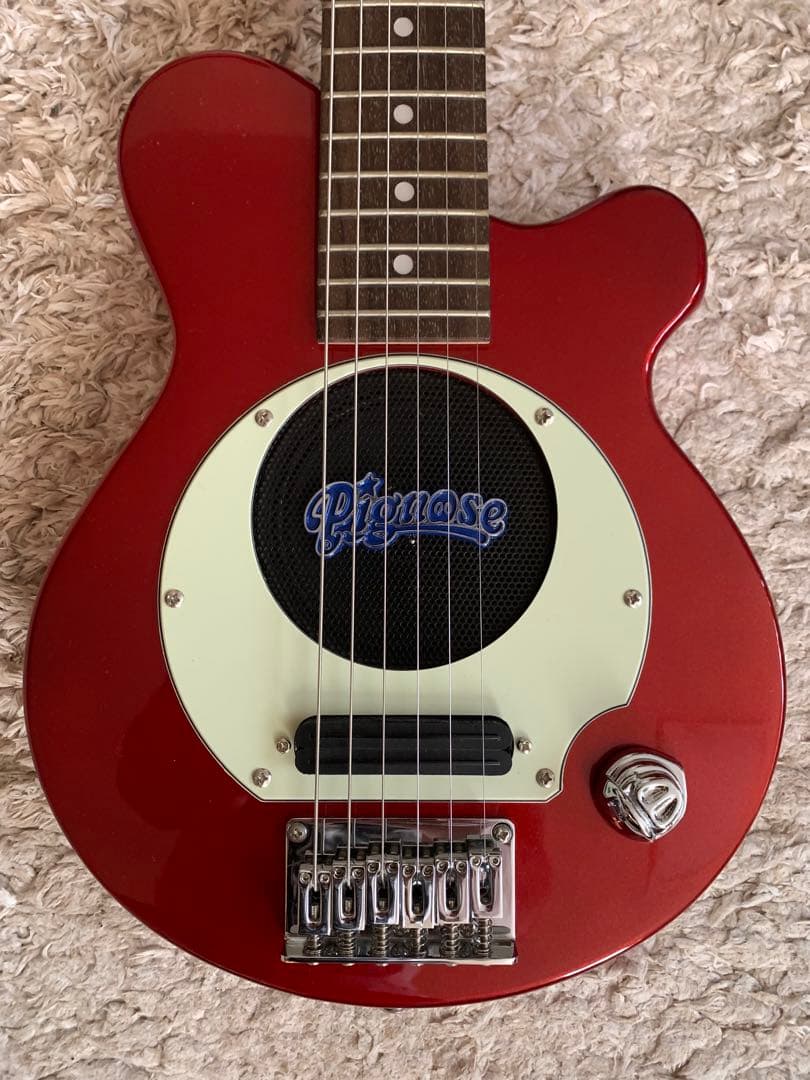 NK　ピグノーズ　PG-200 CA 中古