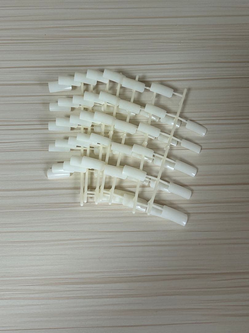 STモデルハンド ネイリスト技能検定試験用 認定モデルハンド