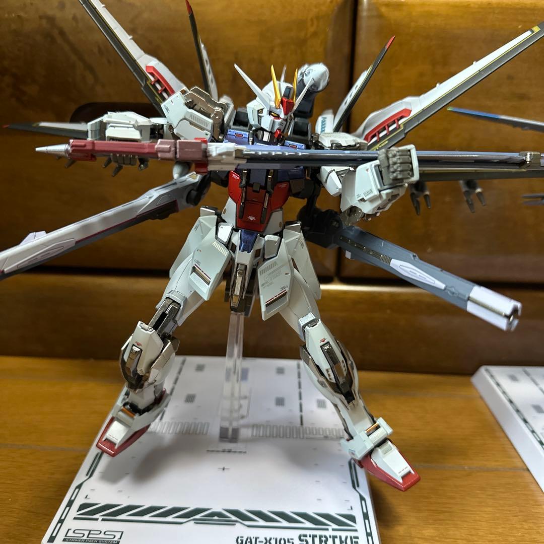 L BUILD メタルビルド　ストライク　オオトリ　IWSP セット