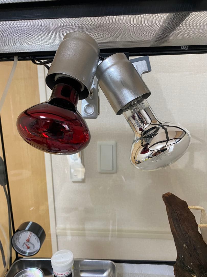 エキゾテラ6045 東広島市　とまさん専用