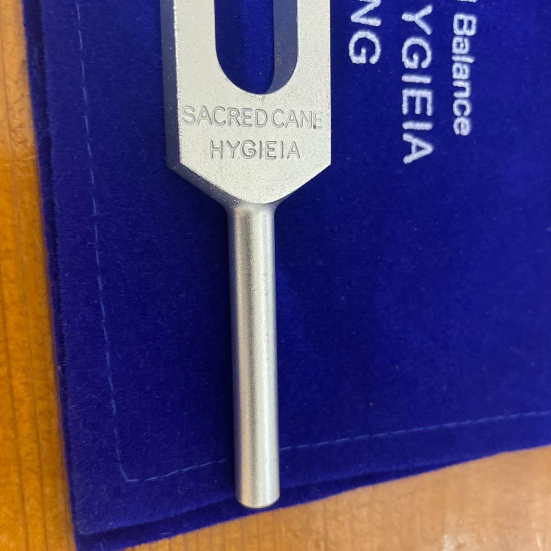 増川いづみ　音叉　ヒュゲイヤの杖　へヴィーフォーク