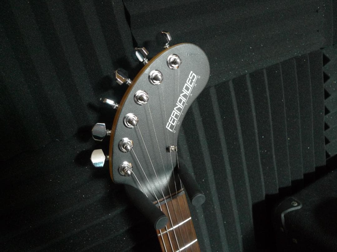 ZO-3 DigiZO‐HYPER FERNANDES