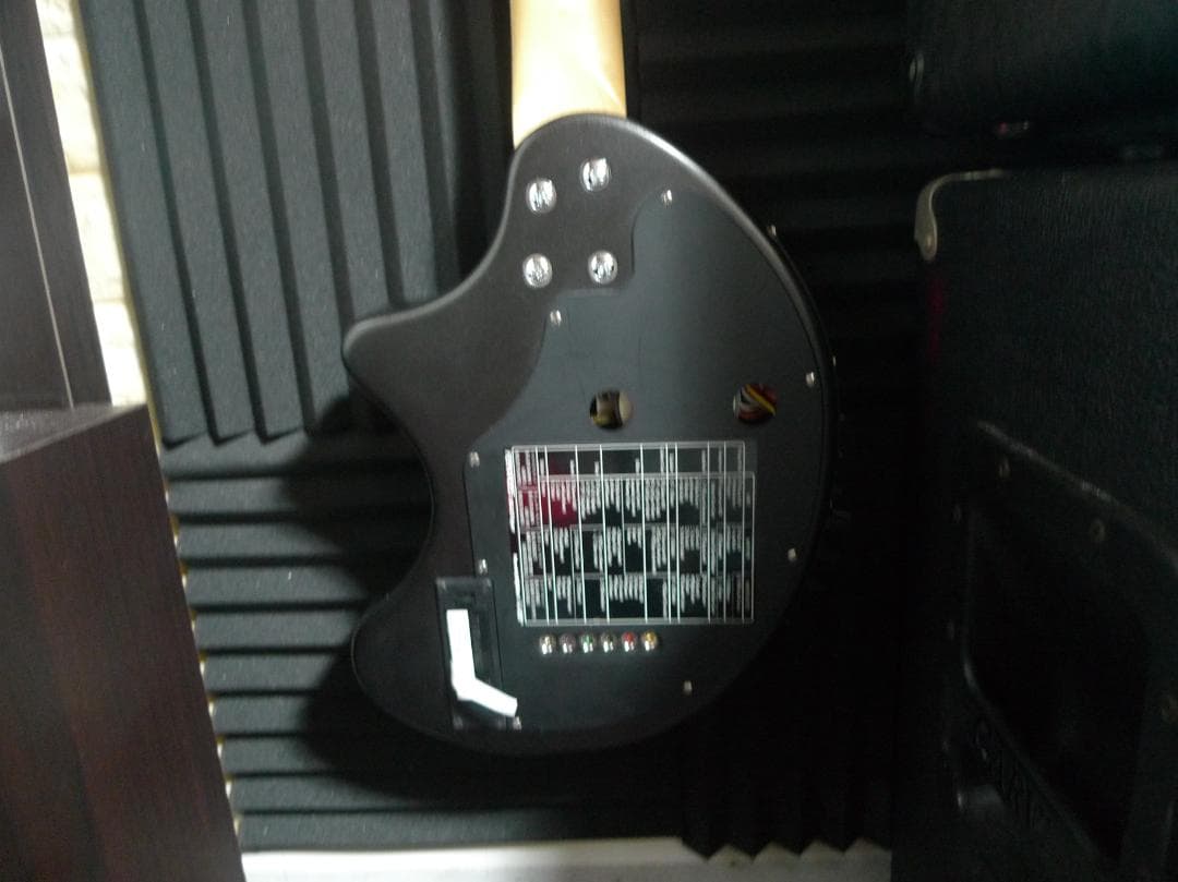 ZO-3 DigiZO‐HYPER FERNANDES