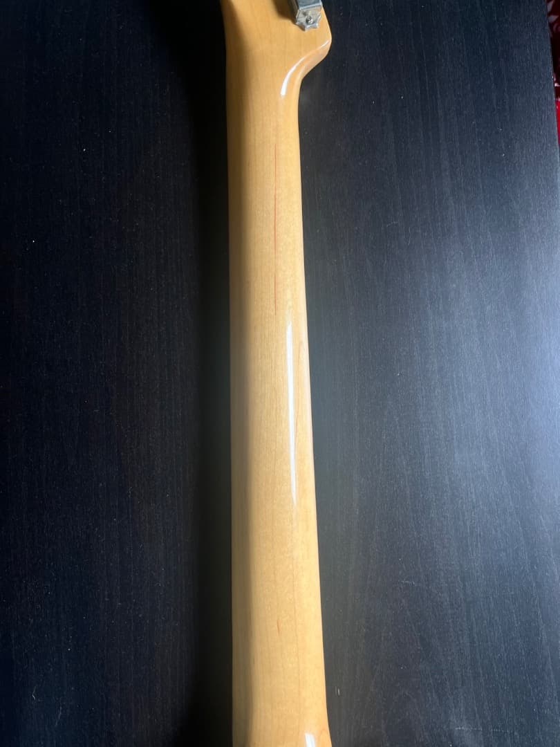 Bacchus テレキャスターギター