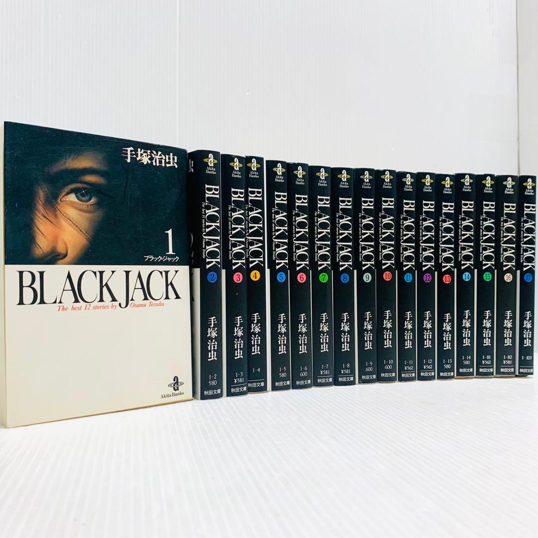 火の鳥 ブッダ ブラックジャック アドルフに告ぐ 手塚治虫の旧約聖書物語 全巻