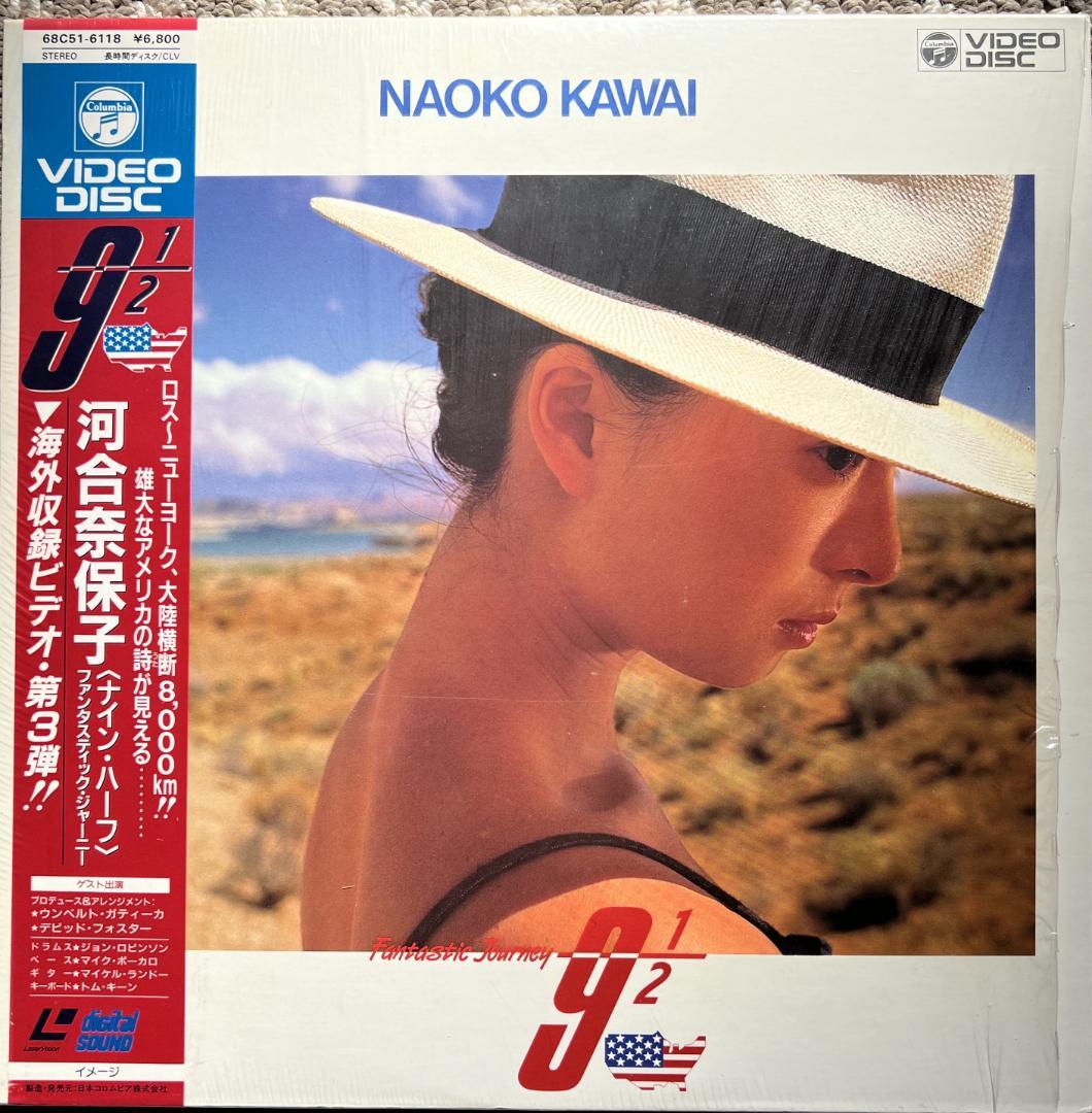 LD 河合奈保子 レーザーディスク １０枚セット
