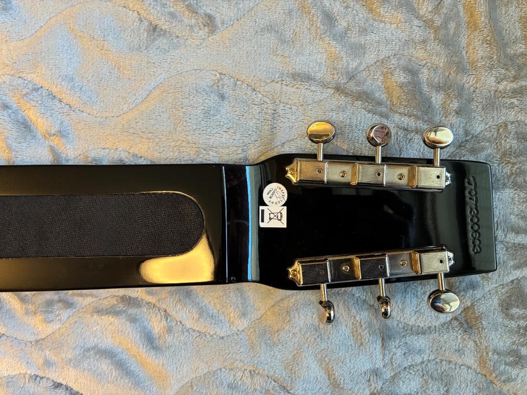 Epiphone Elector CENTURY 6弦スチールギター